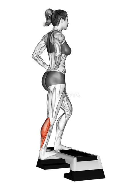 Thumbnail for the video of exercise: Single Heel Drop Calf Stretch