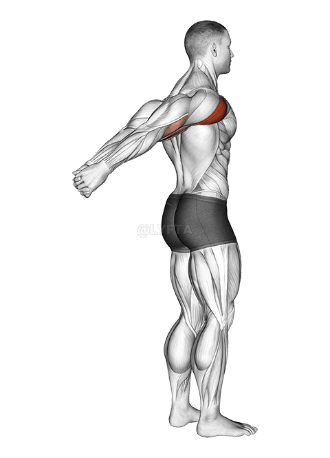 Standing Reverse Shoulder Stretch demonstration