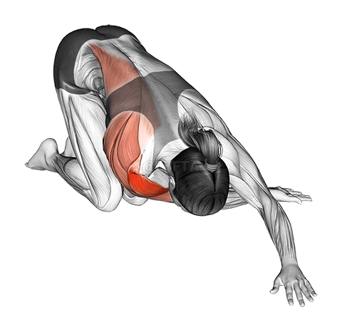 Thumbnail for the video of exercise: Kneeling One Arm Cross Body Stretch
