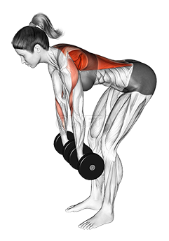 Dumbbell Pronated to Neutral Grip Row demonstration