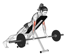 Barbell Prone Incline Curl demonstration