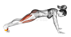 Thumbnail for the video of exercise: Resistance Band Plank March