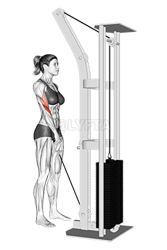 Thumbnail for the video of exercise: Curl con un brazo invertido con cable