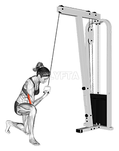 Thumbnail for the video of exercise: Cable Concentration Extension