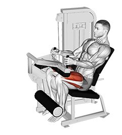 Lever Seated Leg Extension demonstration