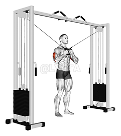 Cable Standing High Cross Triceps Extension demonstration