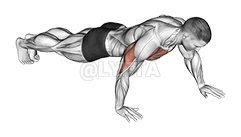 Thumbnail for the video of exercise: Push-up Hand by Hand