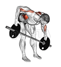 Barbell Bent Over Wide Alternate Row Plus demonstration