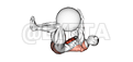Thumbnail for the video of exercise: Dead Bug with Stability Ball