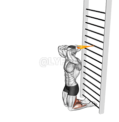 Thumbnail for the video of exercise: Resistance Band Assisted Nordic Hamstring Curl