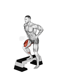 Thumbnail for the video of exercise: Stepdown Squat