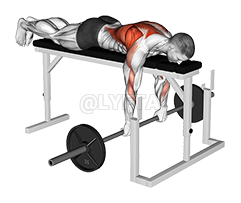 Barbell Lying Close-Grip Overhand Row on Rack demonstration