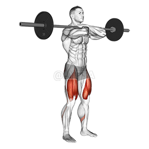 Image of Front Squat