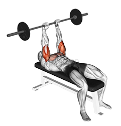 Barbell JM Bench Press - Video Guide | Lyfta