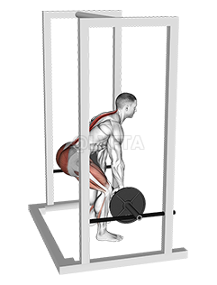 Image of Barbell Rack Pull