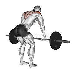 Barbell Rear Delt Row - Video Guide | Lyfta