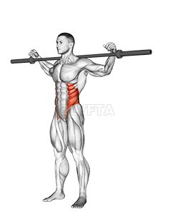 How To Do Barbell Side Bend  Muscles Worked And Benefits