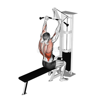 Image of Bar Lateral Pulldown