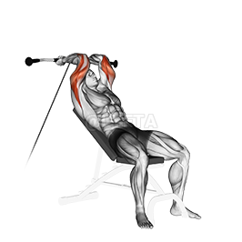 Image of Incline Triceps Extension