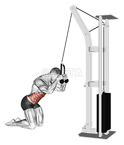 Image of Cable Kneeling Crunch