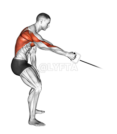 Cable One Arm Bent over Row Video Guide Lyfta