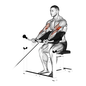 Cable Preacher Curl - Video Guide | Lyfta