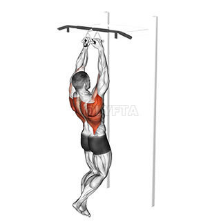 Chin-ups - Video Guide