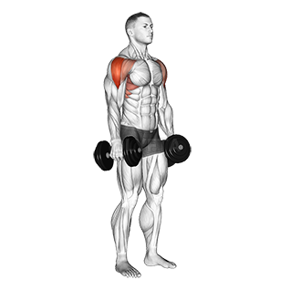 Image of Lateral Raise