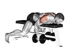 Dumbbell Lying Rear Lateral Raise - Video Guide | Lyfta