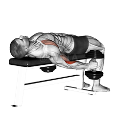 Dumbbell Lying Supine Curl - Video Guide | Lyfta