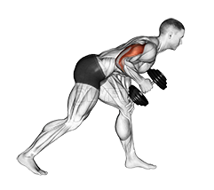 Dumbbell One Arm Kickback Video Guide Lyfta