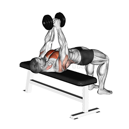 Image of Dumbbell Pullover