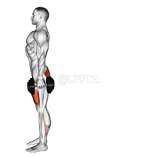 Rear Lunge - Video Guide | Lyfta