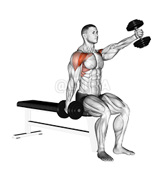 Dumbbell Seated Alternate Front Raise - Video Guide | Lyfta