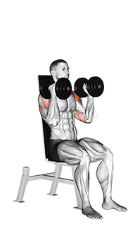 Dumbbell Seated Alternate Press - Video Guide | Lyfta