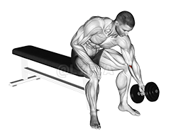 Image of Dumbbell Seated One Arm Rotate