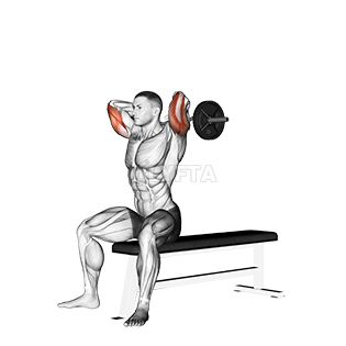 Image of Seated Triceps Extension
