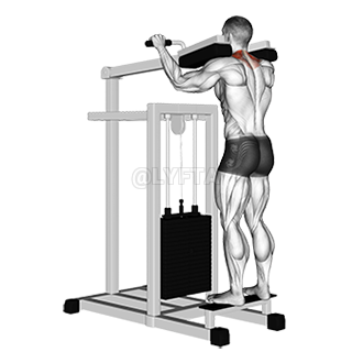 Calf raise machine discount shrugs