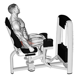 Image of Lever Seated Hip Abduction