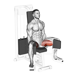 Image of Lever Seated Hip Adduction