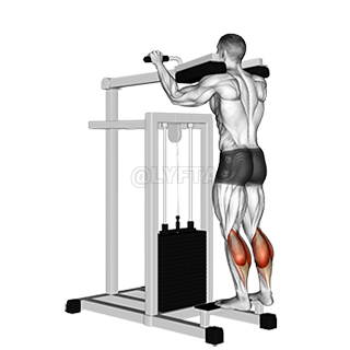 Image of Lever Standing Calf Raise