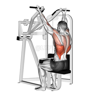 Lat Pulldown Muscles Worked