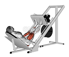 Image of Sled 45° Leg Press