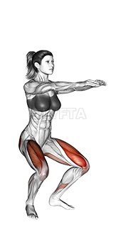 Squat - Video Guide | Lyfta
