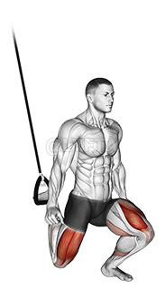 Suspended Split Squat - Video Guide | Lyfta
