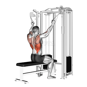 Twin handle parallel grip lat pulldown - Video Guide | Lyfta