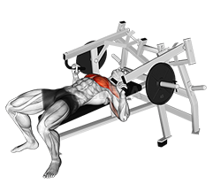 Lever Lying Chest Press - Video Guide 