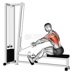 Elevated Row - Video Guide | Lyfta