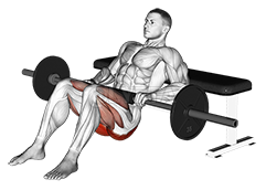 Image of Hip Thrust