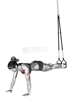 Image of Suspensie Push-up